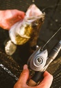 ABU GARCIA Revo X VoltiQ HS LP-L Baitcastrolle LH 7,3:1